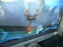 Metroid Prime 3 (humping flloor) glitch