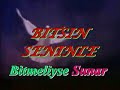 iir-Bitmeliyse-aksar