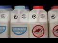 A Love Story…In Milk - L’associazione ambientalista...
