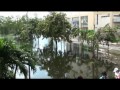 Click here to watch this video สถานการณ์น้ำท่วม มจร3.avi