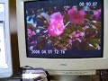 Xacti DMX-HD1000