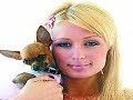 tinker-bell.html