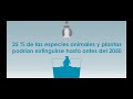 Calentamiento Global Calentamiento Global