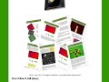 8ballsecrets.com