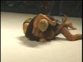 Rodrigo Gracie vs Genki Sudo