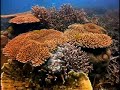 tioman tioman