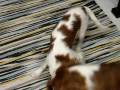 videos de MVI 0212
