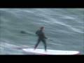 videos de Stand Up Paddle Fort Point