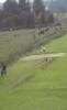 Very low flight with a biplane