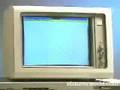 Windows-from-15-year