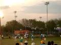 videos de Delfines vs Jaguares (AFAIM)