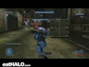 Needler pwning