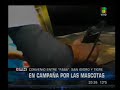Nota en America TV sobre la camapaña sanitaria que FABA está llevando adelante junto a la Municipalidad de Tigre y de San Isidro.