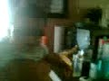 Negrito cool 1
