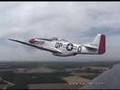 WARBIRD TRAINING MISSION: P-51 T-28 & AD-4