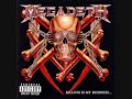 Megadeth last rits/love to death(demo)