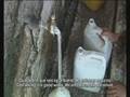 Palestina, el agua ocupada (1 de 3)