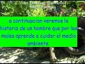 un dia de puro weveo