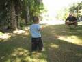 videos de Walking Aaron