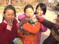 ???? Chinese Village