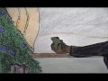 A Wooden Frog For Christmas