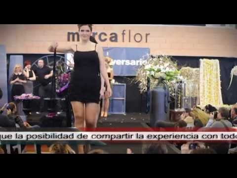Imagen de previsualización de YouTube