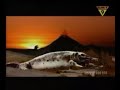 Fat Boy Slim - Right Here Right Now
