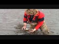 Clamming