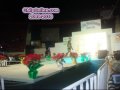 CERTAMEN SRITA. FLOR DE NOCHE BUENA 2009-2010 CHILPANCINGO, GRO.
