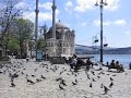 Boy Chases Pigeons near Bosphorous Mosque In Turkey
