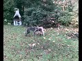 B'Elanna playing