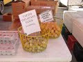 Daily Eats - Union Square Green Market Stroll