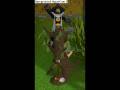 videos de Aper omnia and 99 wcing emote