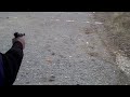 Ruger .22 caliber pistol