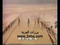 الناموس يا اهل قطر