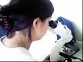 Microbiolog�a Cl�nica MCLI 240
