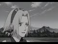 NaruSaku What Hurts The Most