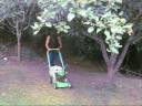 World Series Of Lawn Mowing World Series Of Lawn Mowing