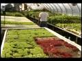 MEET THE FARMER (Trailer)