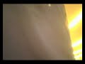 you suck vol. 2