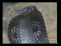 India Nature -- India Travel