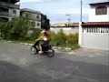 Disgrama caiu! klarice Piloto de fuga Disgrama caiu! klarice Piloto de fuga