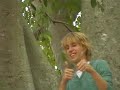 Kranky Rare Footage Kranky Rare Footage