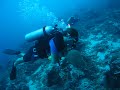 Bar Duiken Gili Menowall 01