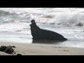 Big Sur Coastline and Sunset - D90 Short Film (720p HD)