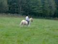 videos de mon p'tit pache.WMV