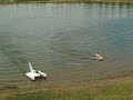 Two Boats One Flies