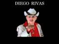 EL PRINCIPIANTE (DIEGO RIVAS)