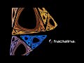 Fractales y Violines