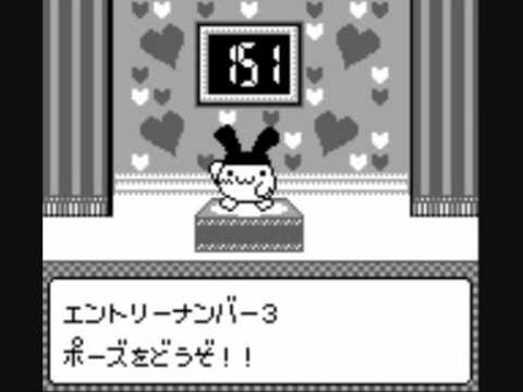 動画